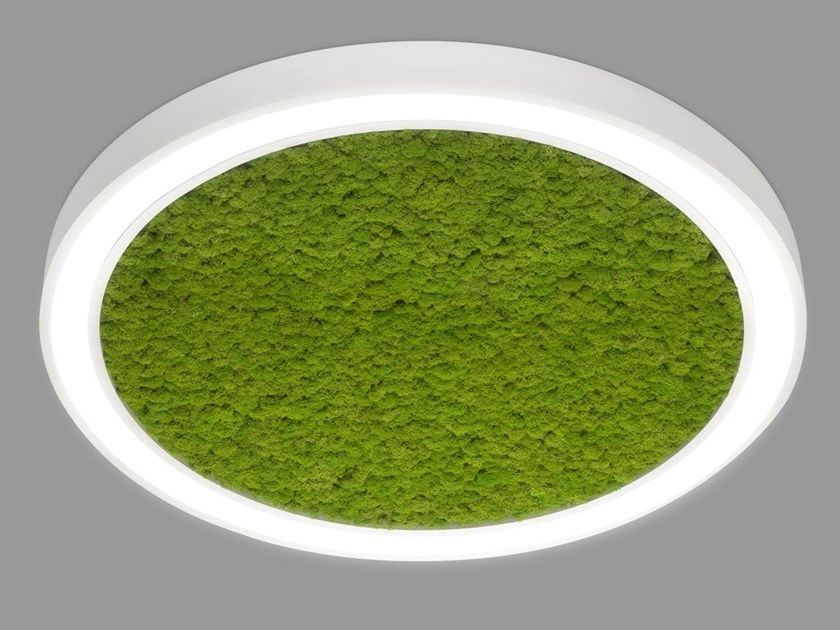840x630 Led Aluminium Ceiling Light Vector Round Moss Vector