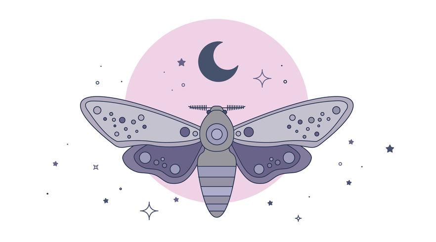 882x490 Moth Vector