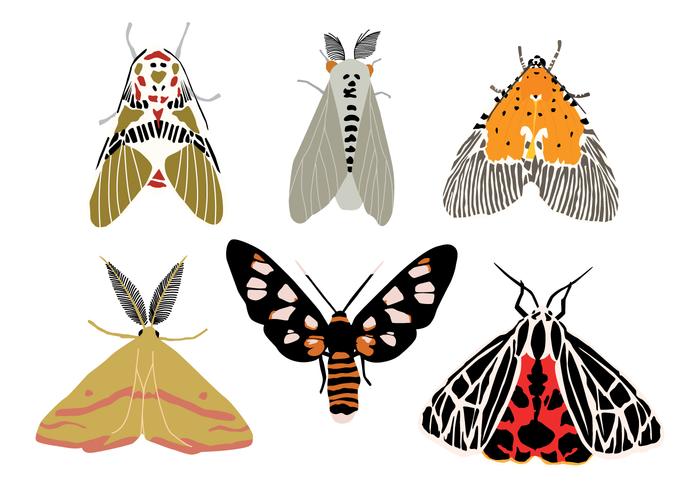 700x490 Moth Vectors