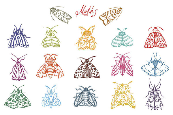600x400 Night Moths Hand Drawn Doodle Moth Vector Set Art Print
