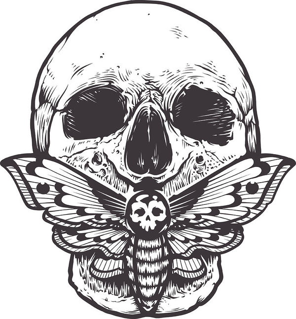 600x648 Skull With Moth Vector Art Print