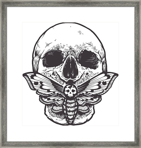 600x633 Skull With Moth Vector Framed Print