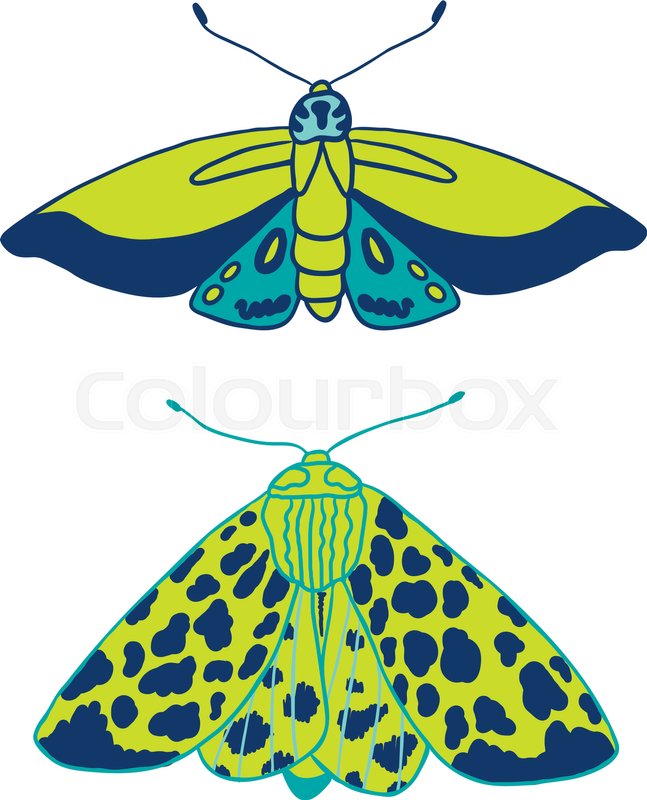 647x800 Summer Moth Vector Set Happy And Stock Vector Colourbox