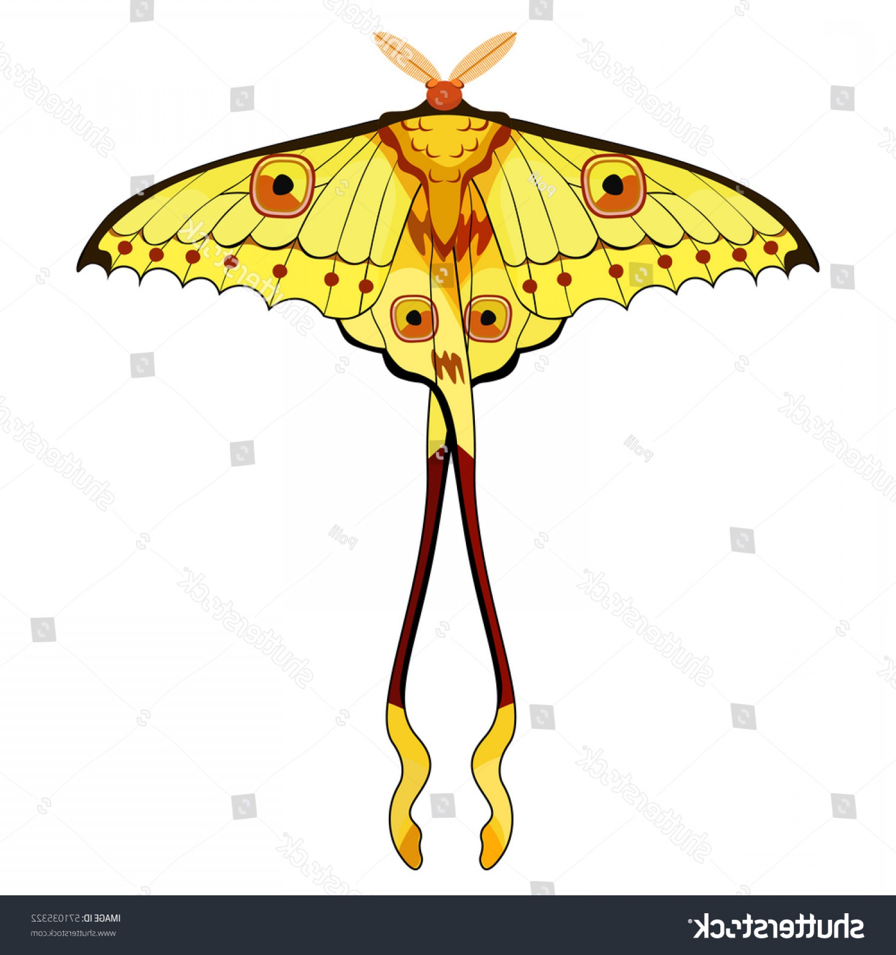 1800x1920 Vector Luna Moth Savoyuptown