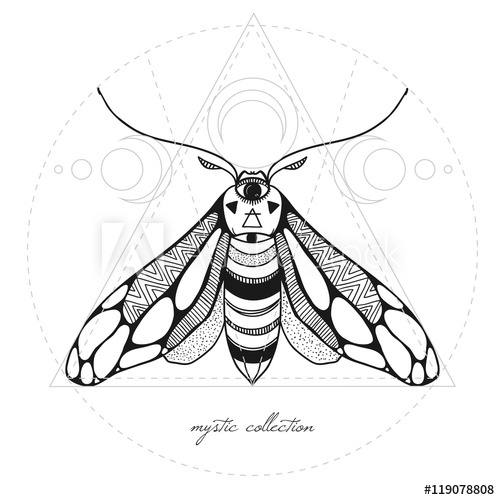 500x500 Mystic Moth Vector Illustration