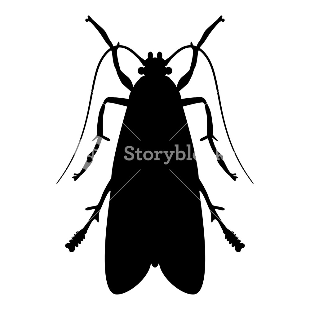 1000x1000 Clothes Moth Clothing Moth Fly Insect Pest Icon Black Color Vector