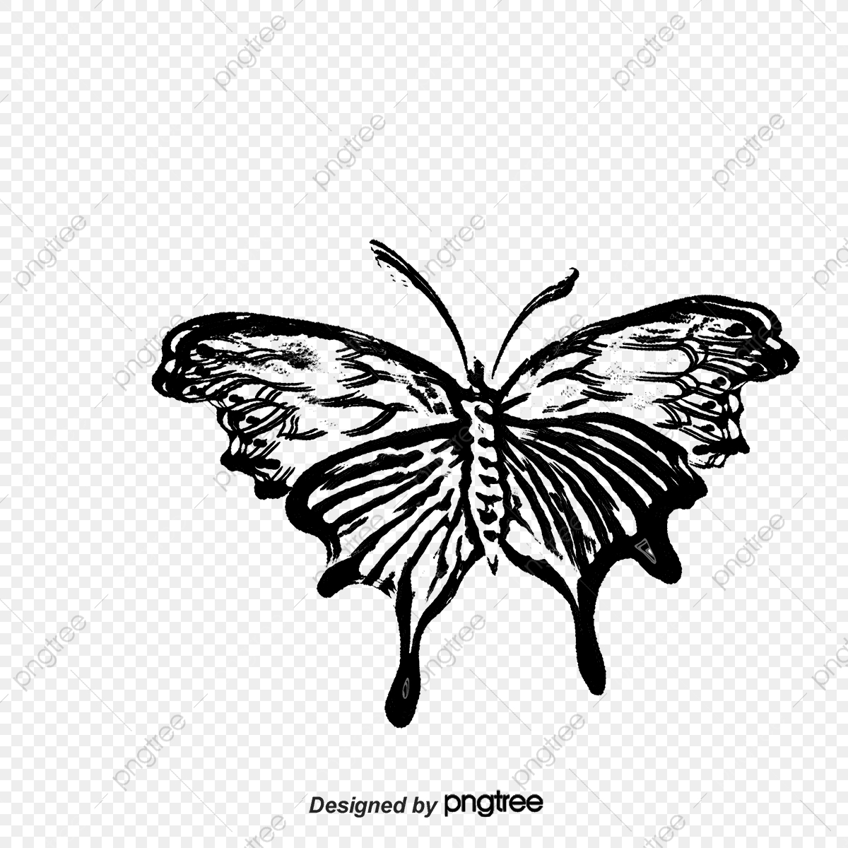 1200x1200 Hand Drawn Sketch Moth Vector, Hand Drawn Sketches Moths, Sketch