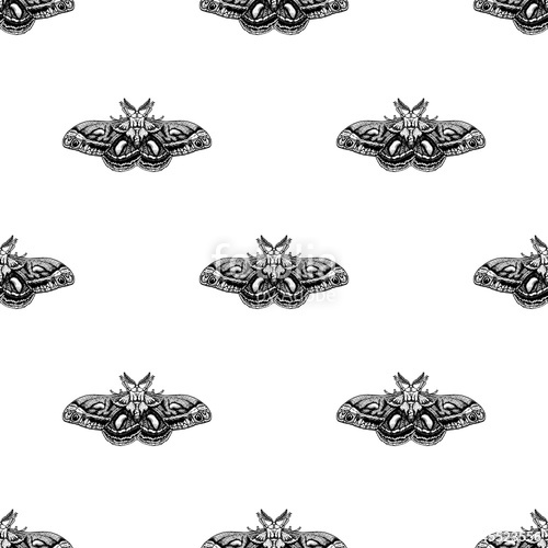 500x500 Hand Drawn Background With Moth Vector Seamless Pattern