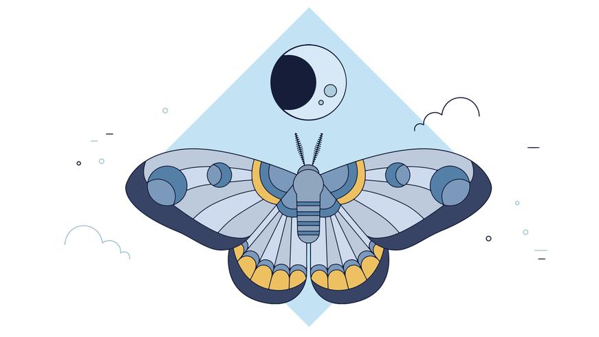 871x490 Moth Dark Vector