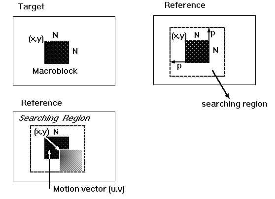 558x405 Motion Vector Search