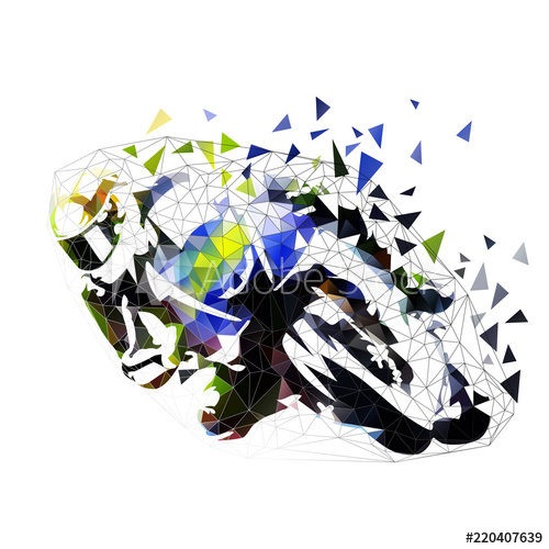 Road Motorbike Racing, Polygonal Vector Illustration Low Poly 500x500 Road Motorbike Racing, Polygonal Vector Illustration Low Poly