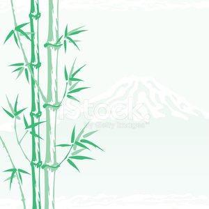Bamboo In The Shadow Of Mount Fuji 300x300 Bamboo In The Shadow Of Mount Fuji