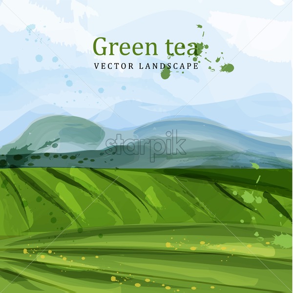 600x600 Green Tea Fields Watercolor Background Vector Nature Mountains