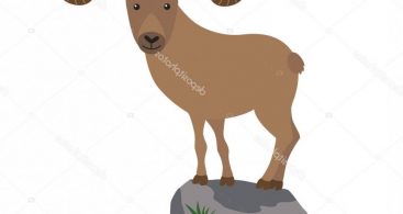 367x195 Mountain Goat Vector Archives Vector Images Design