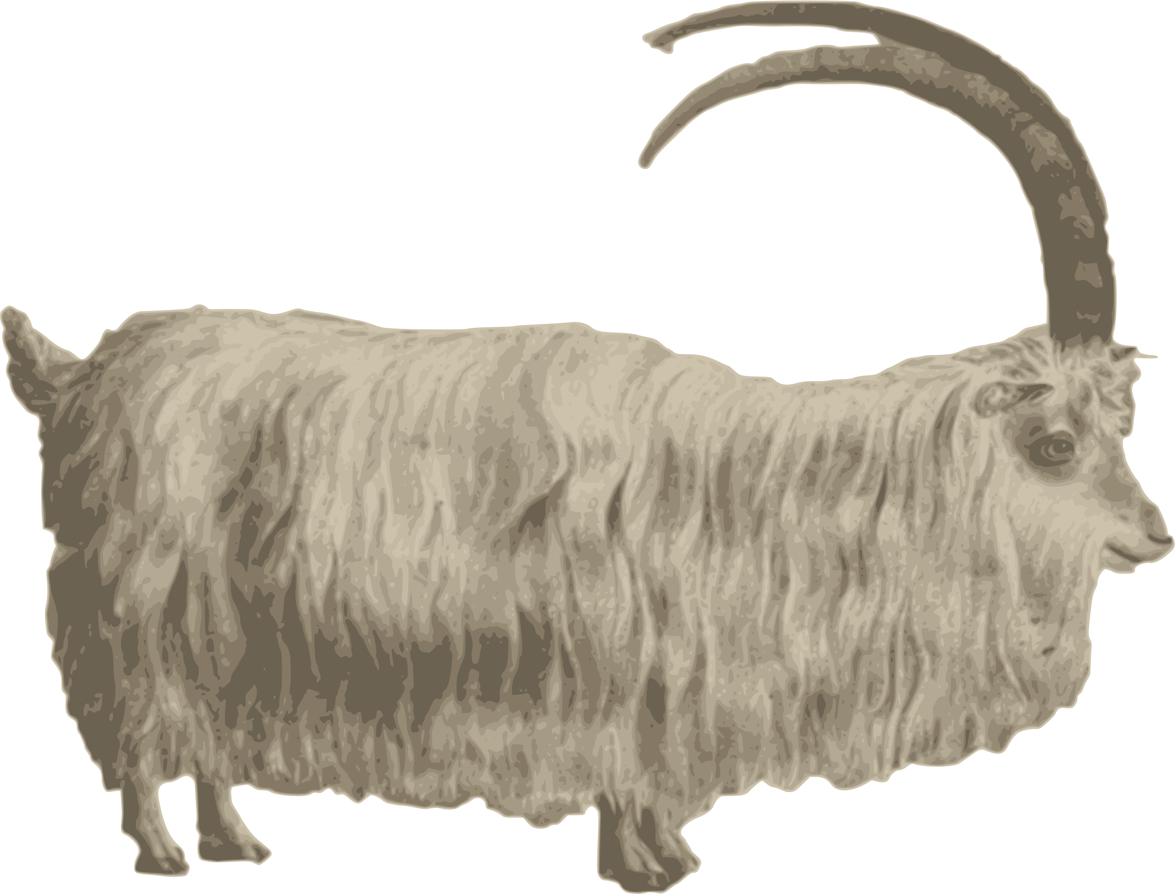 2295x1745 Mountain Goat Vector Clipart Image