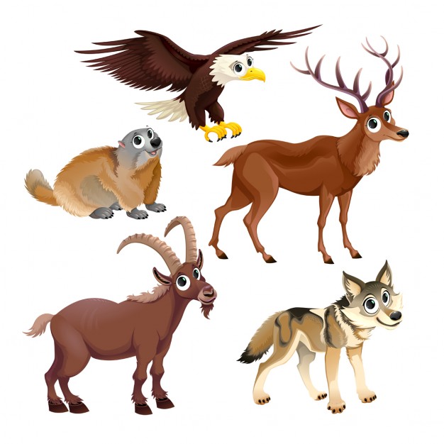 626x626 Mountain Goat Vectors, Photos And Free Download