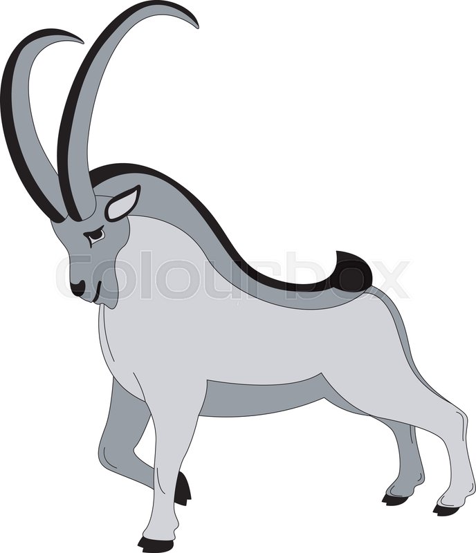 688x800 Mountain Goat, Vector Illustration Stock Vector Colourbox