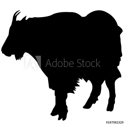 500x500 Mountain Goat Silhouette Vector Graphics