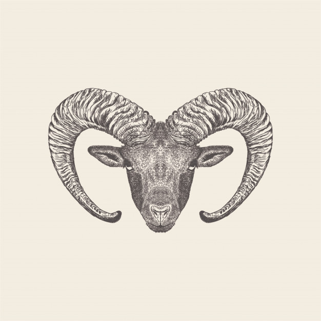 Mountain Goat Vector at Vectorified.com | Collection of Mountain Goat ...