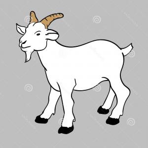300x300 Stock Illustration Illustration Goat Vector Little White Funny
