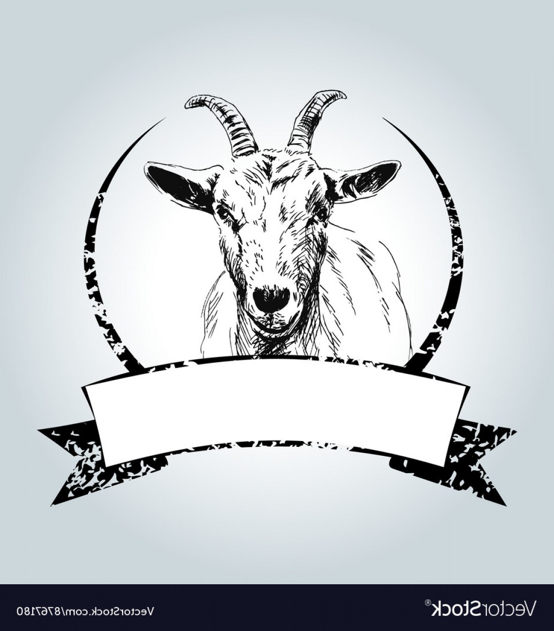 1138x1296 Vintage Label With Drawing Goat Vector Studiogrfx