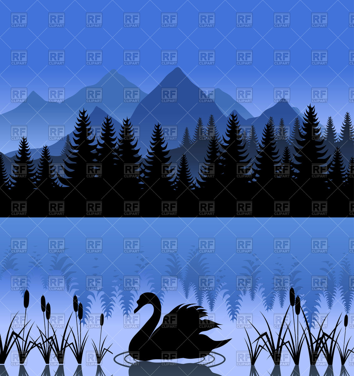 1131x1200 Black Swan On Mountain Lake Vector Image Of Plants And Animals