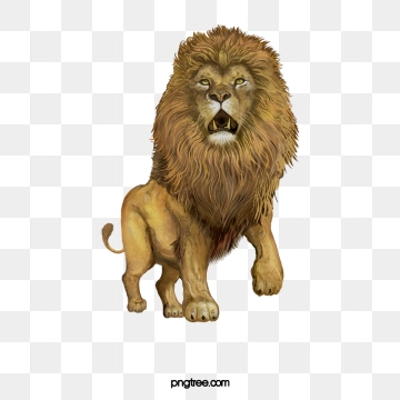 360x360 Mountain Lion Png, Vector, And Clipart With Transparent