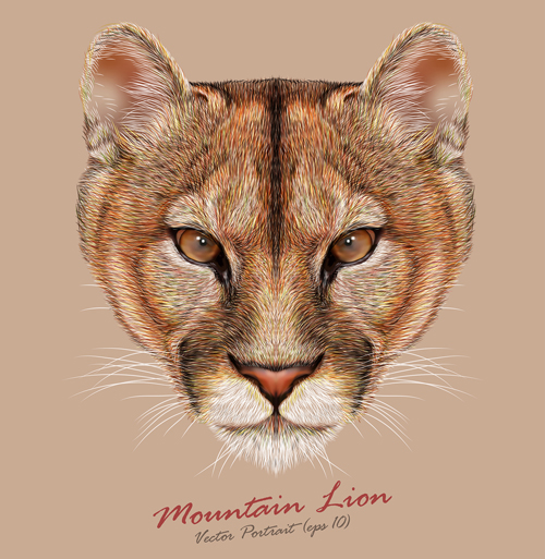 500x513 Mountain Lion Head Background Vector Free Download