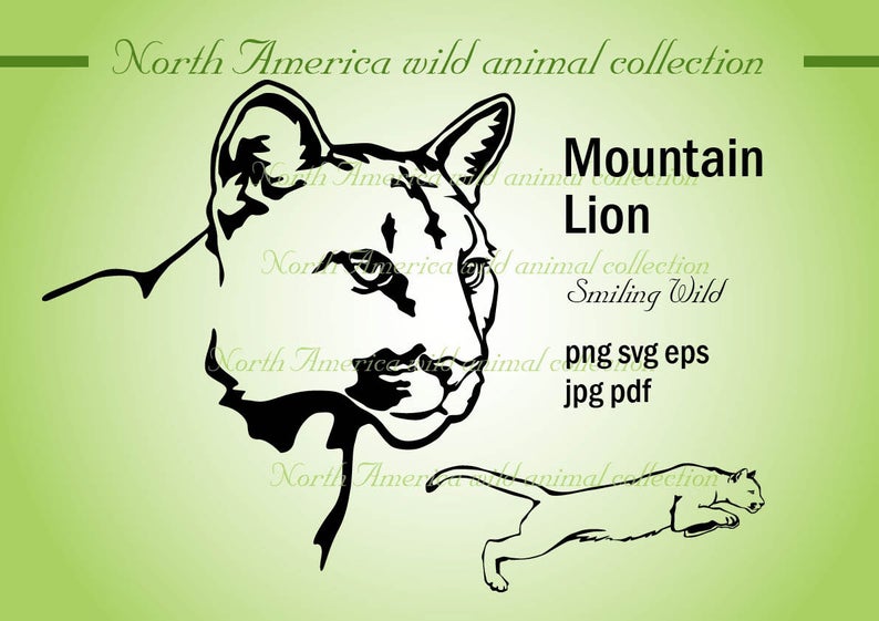 794x561 Mountain Lion Cougar Art Vector Graphic Puma Clipart Etsy