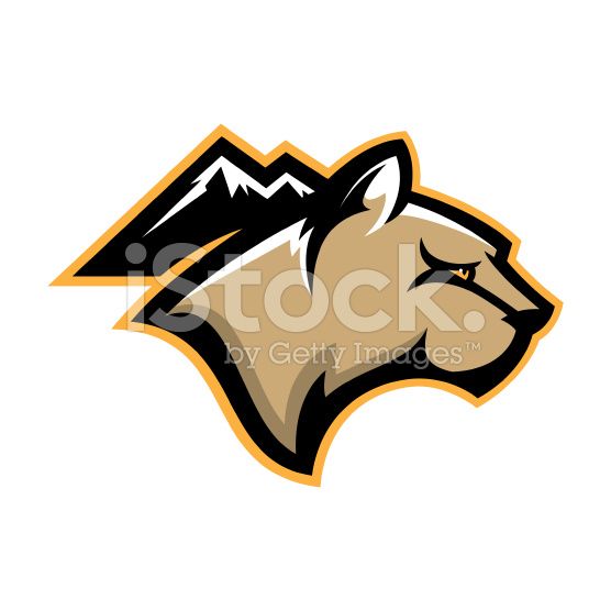 556x556 This Mountain Lion Is Ready To Ounce! Perfect For Your Sports Tram