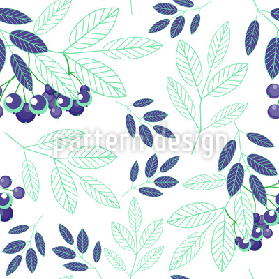 400x400 Mountain Ash Characteristics Vector Design