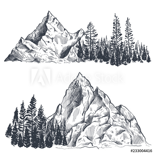500x500 Vector Set Of Hand Drawn Graphic Mountain Ranges With Pine Forest