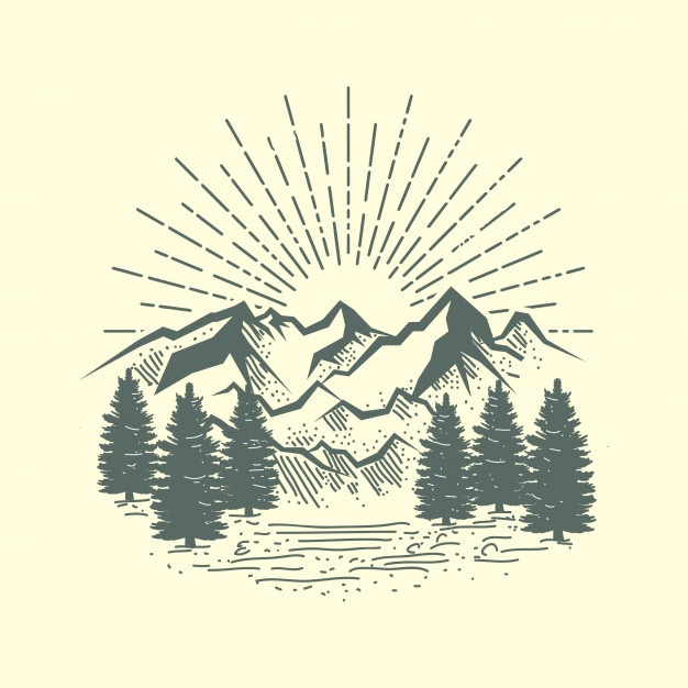 626x626 Mountain And Forest Illustration Vector Premium Download