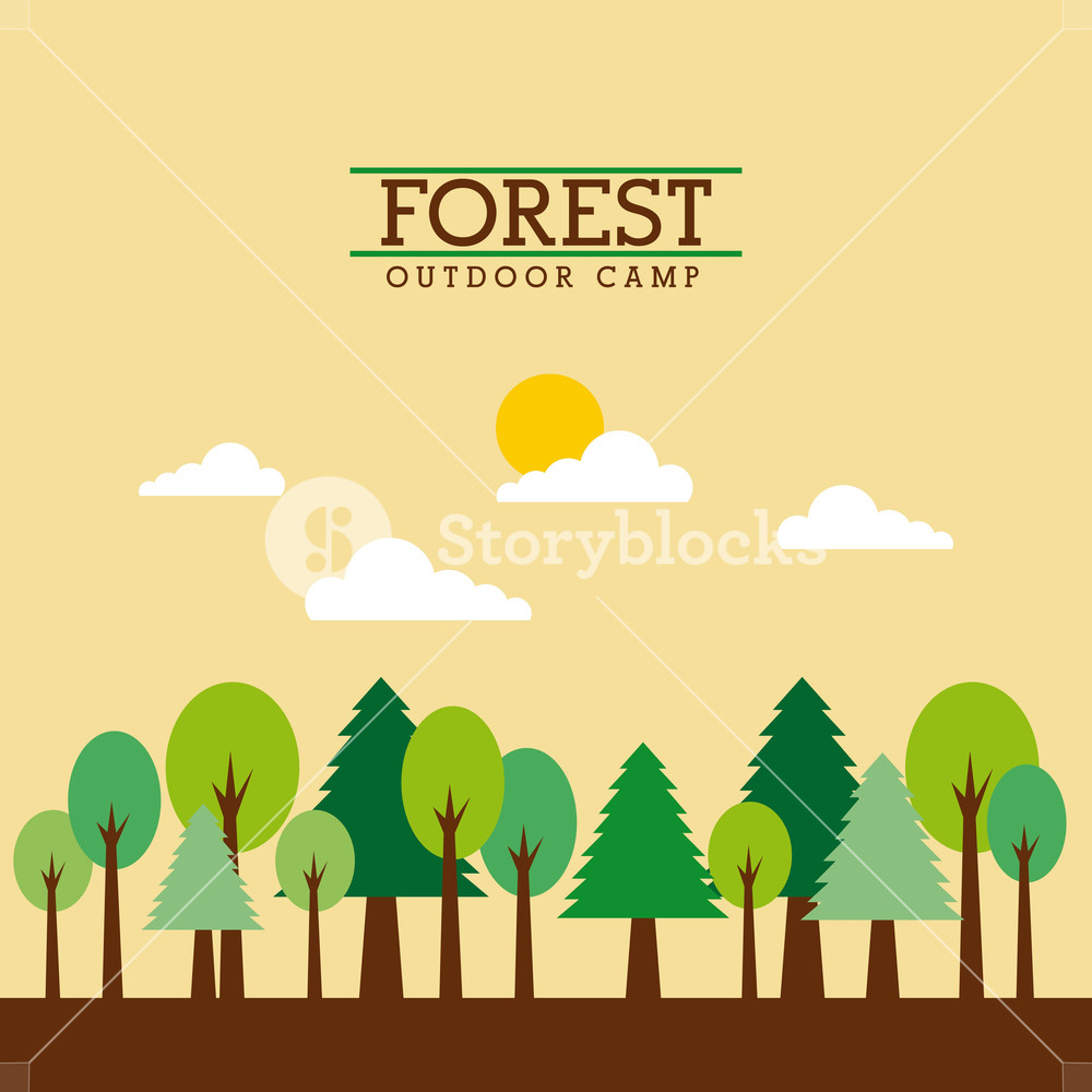 1000x1000 Forest Outdoor Camp Landscape Natural Mountain Tree Cloud Sun