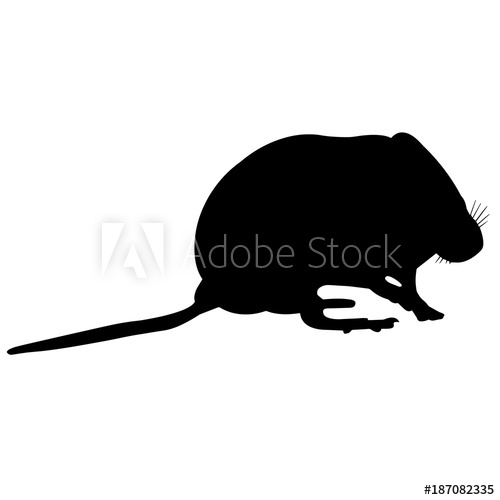 500x500 Mouse Silhouette Vector Graphics
