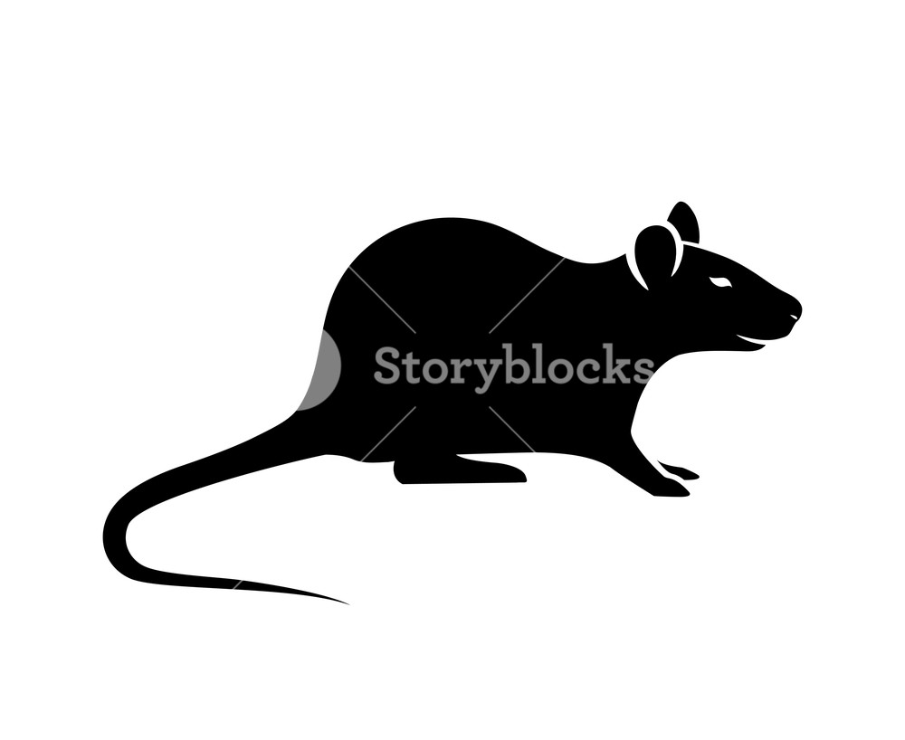 1000x818 Mouse Silhouette Vector Royalty Free Stock Image