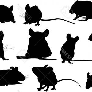 300x300 Photostock Vector Mouse Silhouette Vector Illustration Catchsplace