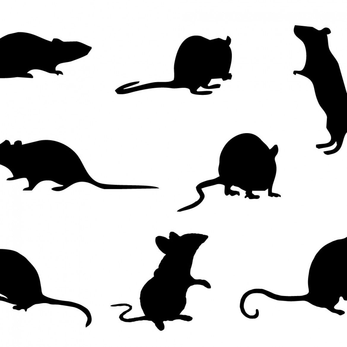 1170x1170 Silhouette's Silhouette Vector, Mouse