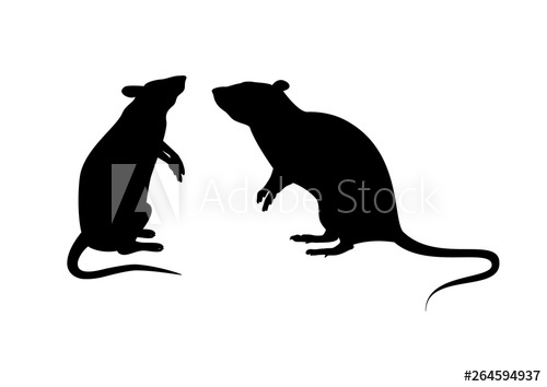 500x354 Two Rats Silhouette Vector Standing Rat Icon Vector Rats
