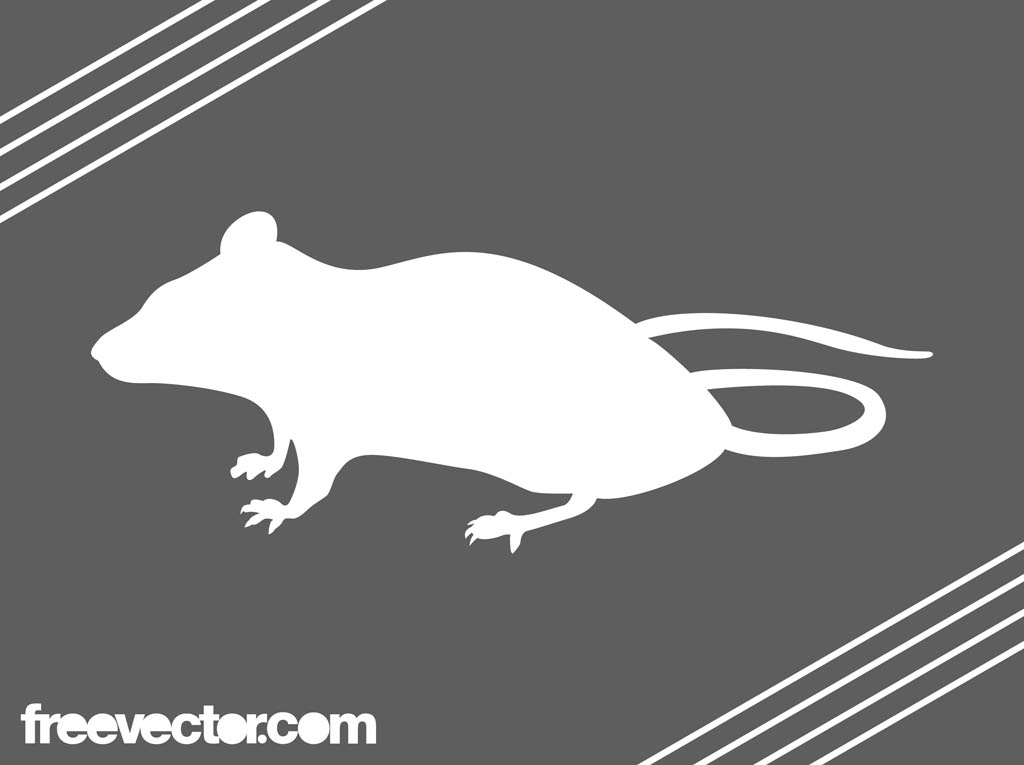 1024x765 White Mouse Silhouette Vector Art Graphics