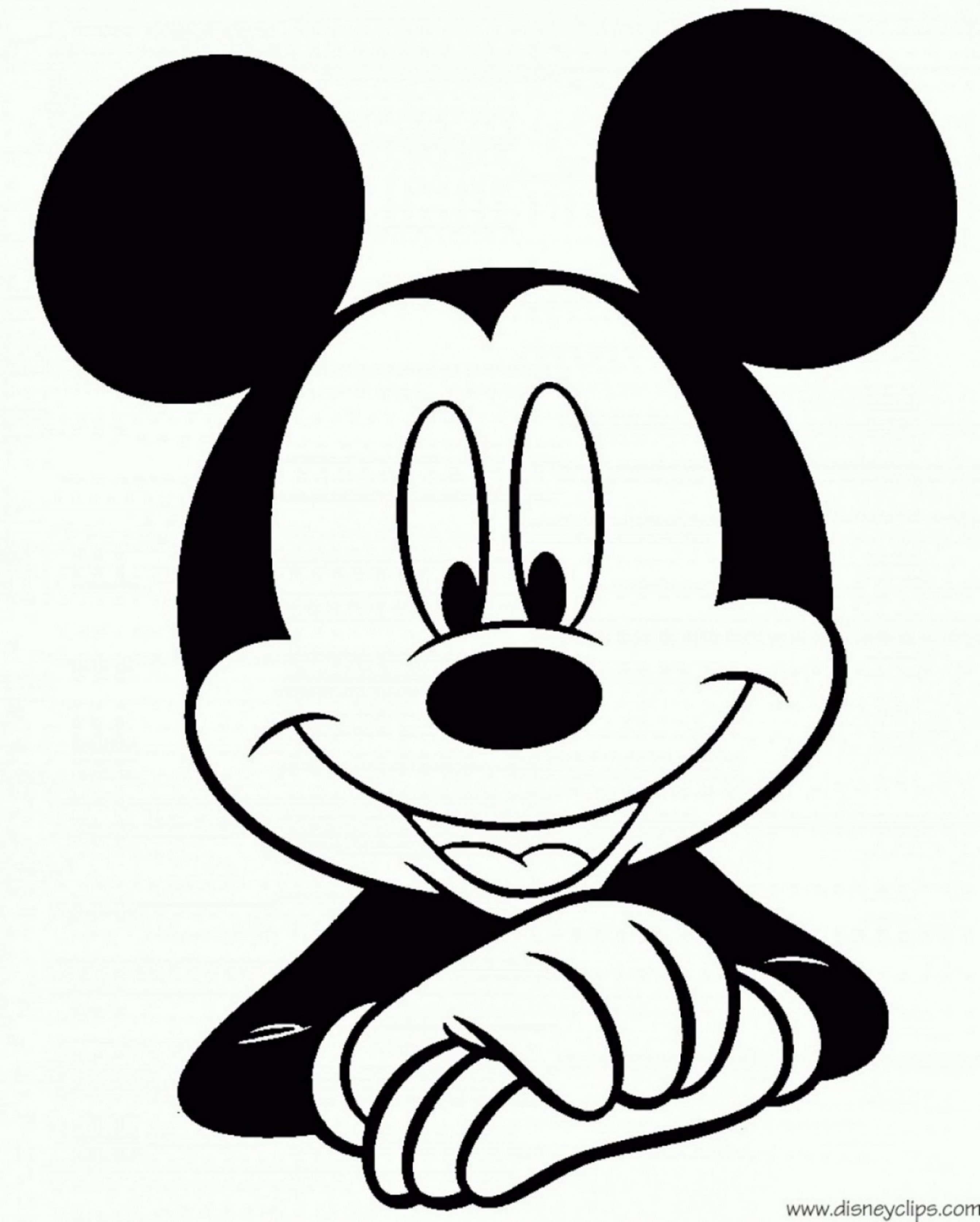 Mouse Vector