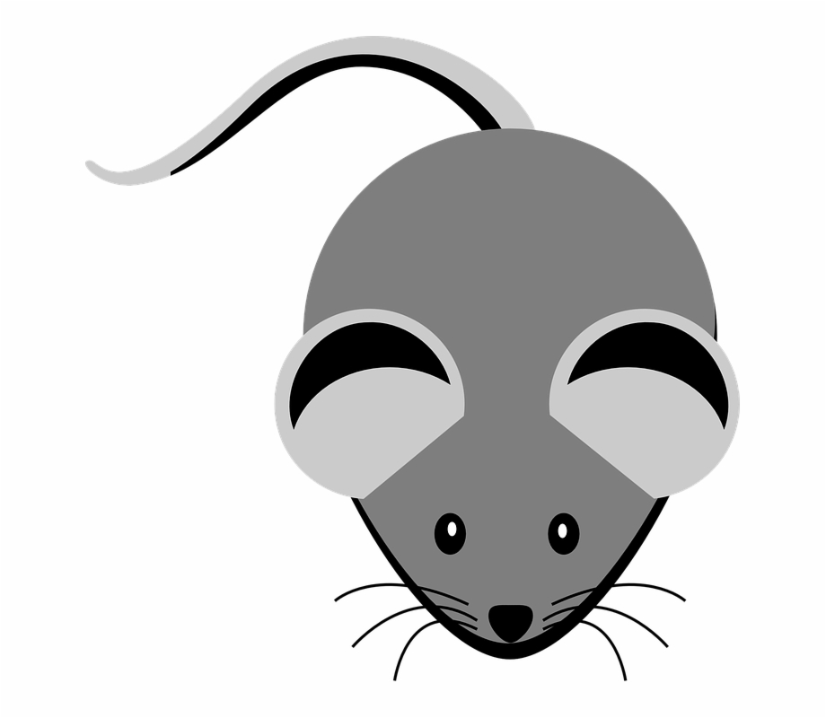 920x800 Mice Clipart Nose