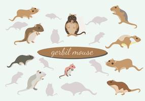 286x200 Mouse Free Vector Art