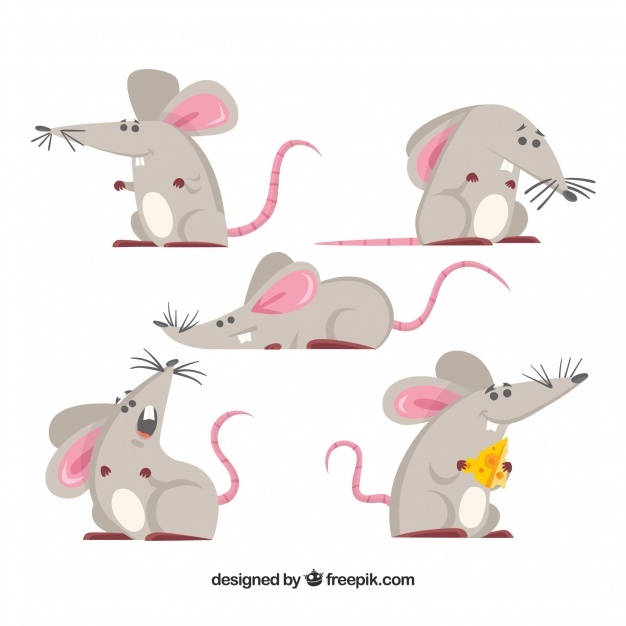626x626 Mouse Vectors, Photos And Free Download
