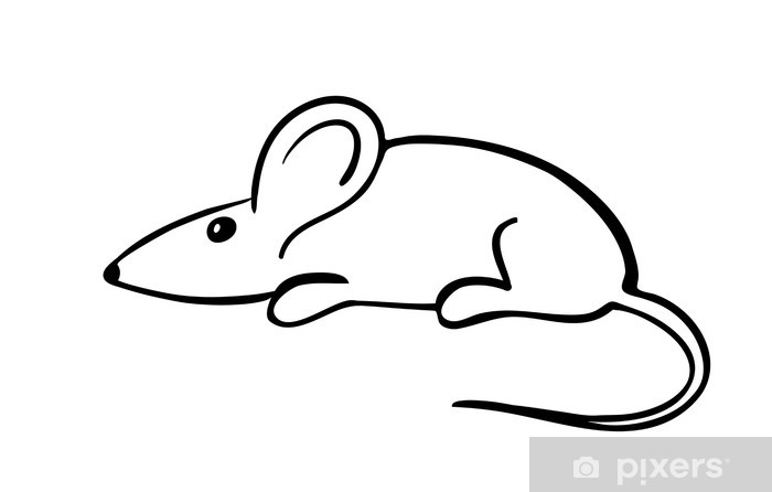 700x446 Gray Mouse, Vector Illustration Wall Mural