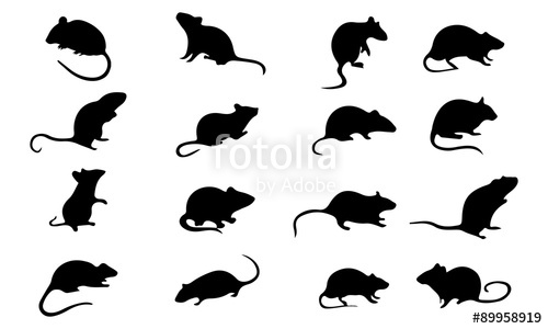 500x300 Mice Mouse Silhouette, Set Vector Animals Icons Stock Image