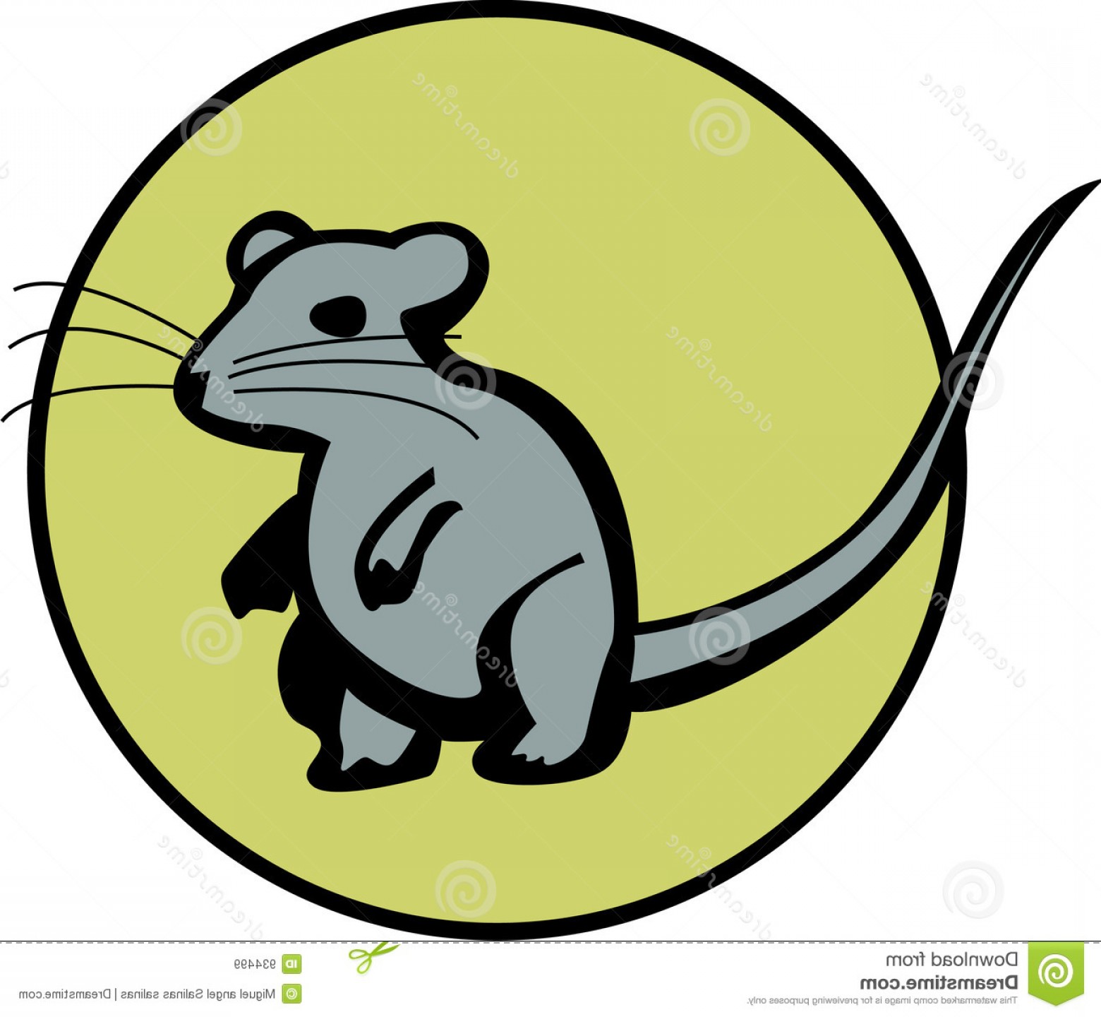 1560x1440 Royalty Free Stock Images Rat Mice Mouse Vector Available
