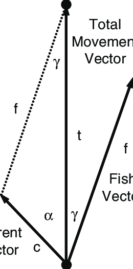 260x526 Vector Components Of Movement Line T Is The Total Movement Vector
