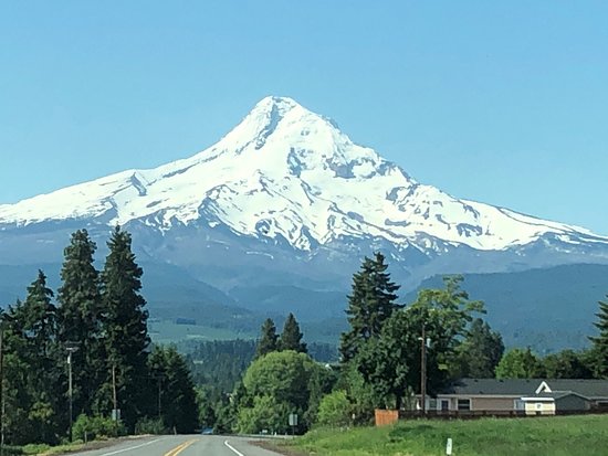 The Best Things To Do In Hood River 550x413 The Best Things To Do In Hood River