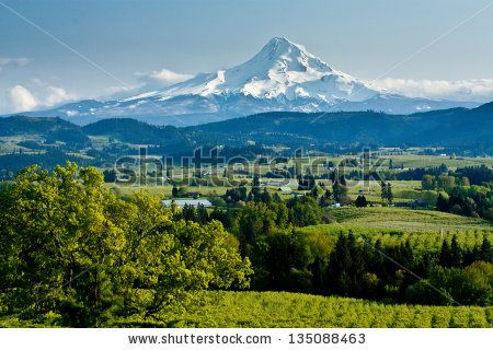 Image Result For Clip Art Free Vector Silhouette Mt Hood Clip 450x320 Image Result For Clip Art Free Vector Silhouette Mt Hood Clip
